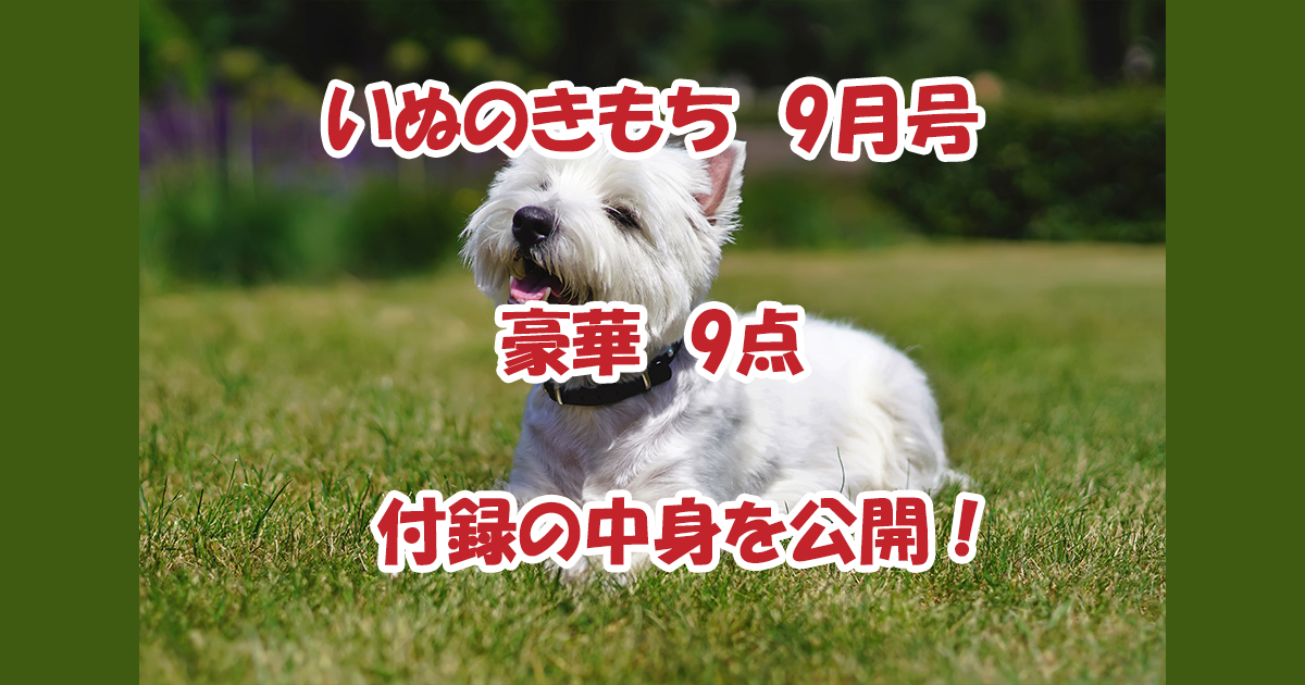いぬのきもち9月号　